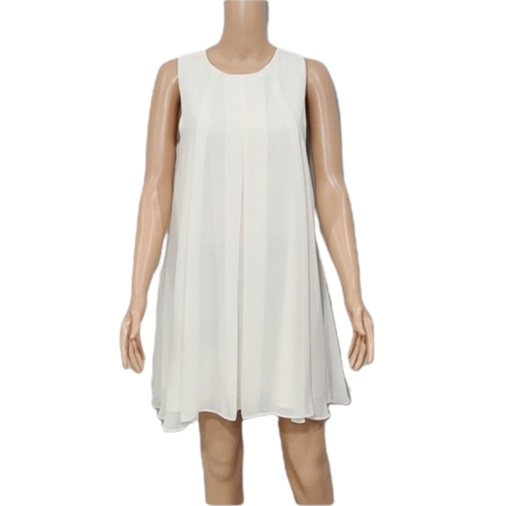 BCBGeneration Shift Dress, Chiffon, Knee length, summer,‎ Soft  pink S/P